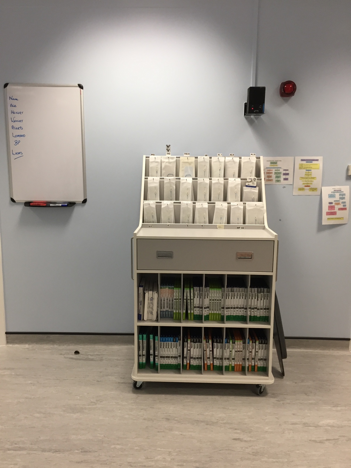 Picture 2 of Catheter Storage Mobile Trolley