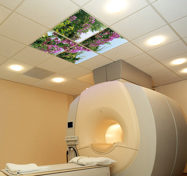 Picture 2 of Four ceiling units