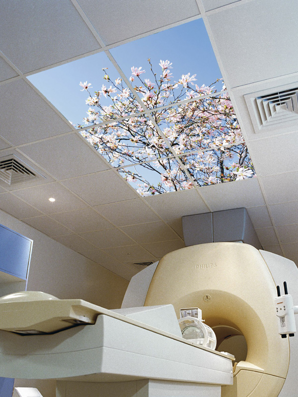 Picture 4 of Six ceiling units