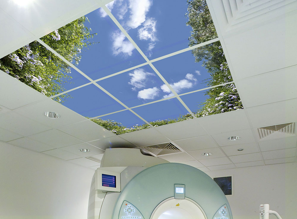 Picture 2 of Nine ceiling units